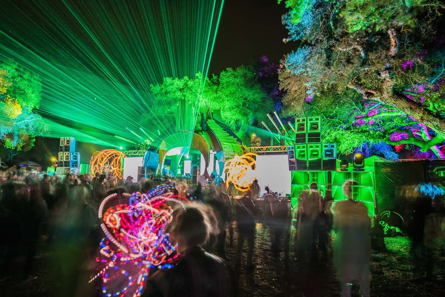 Lucidity Festival 2025 An Experience for Common People